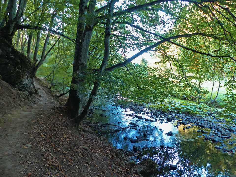 Dreimühlen Wasserfall Wanderweg